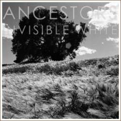 Ancestors (USA-1) : Invisible White